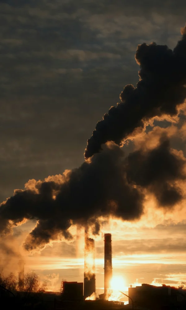 ecosystem restoration climate resilience Turkmenistan