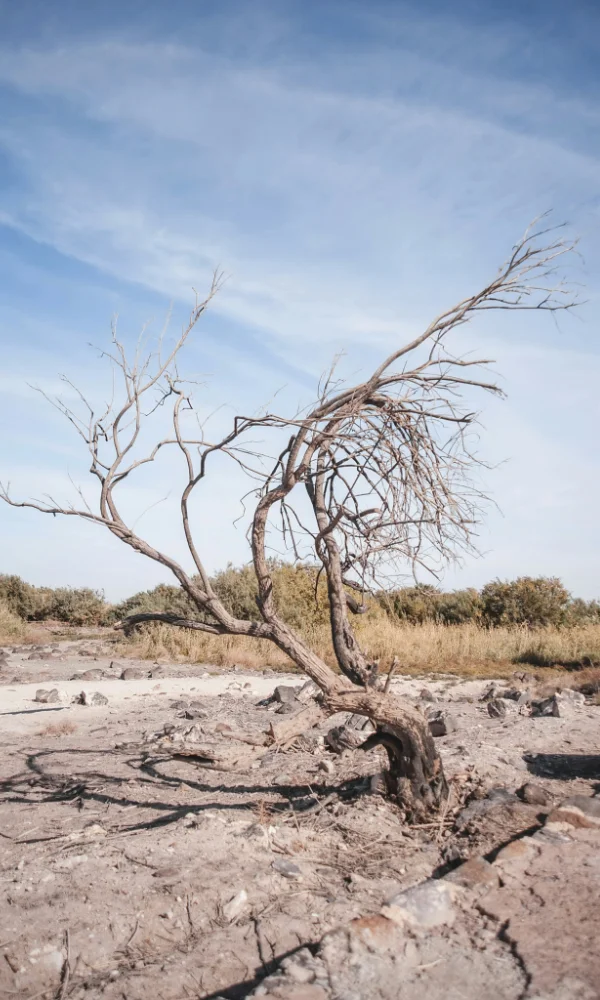 environmental impact assessment Turkmenistan ESIA