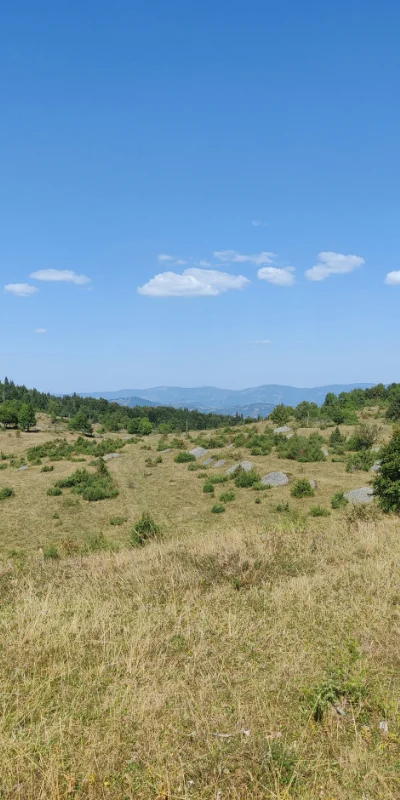 biodiversity assessment Turkmenistan field survey