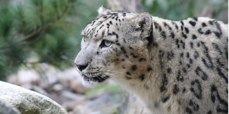 species impact assessment biodiversity Turkmenistan