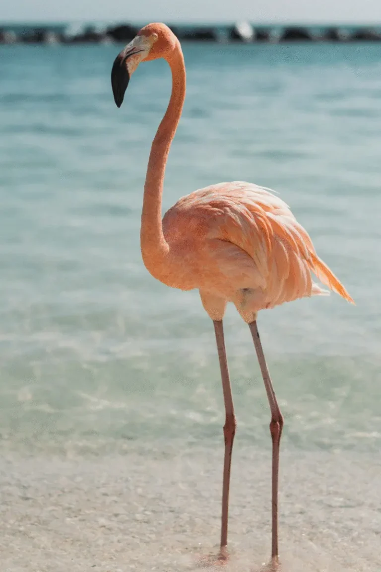 Biodiversity assessment fieldwork Turkmenistan Central Asia