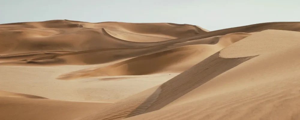 ecosystem impact assessment Turkmenistan Central Asia