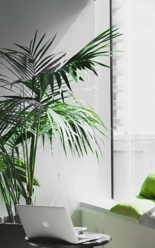 achar-agency-turkmenistan-office