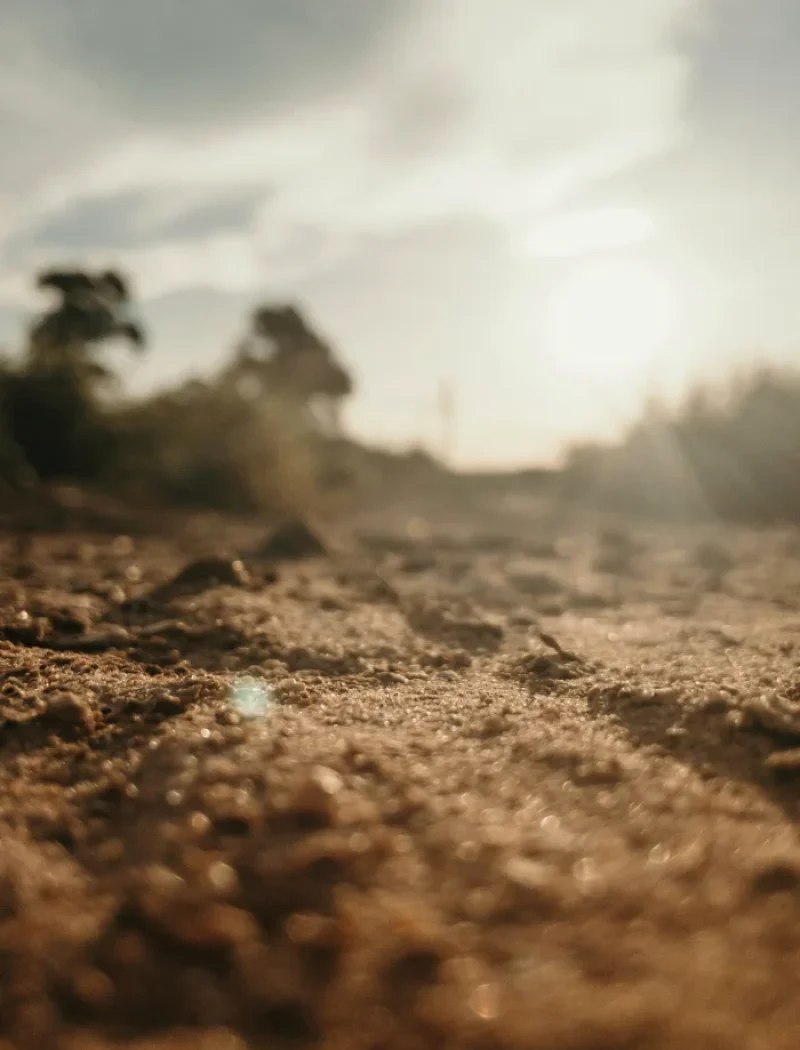 organic agriculture Turkmenistan soil assessment